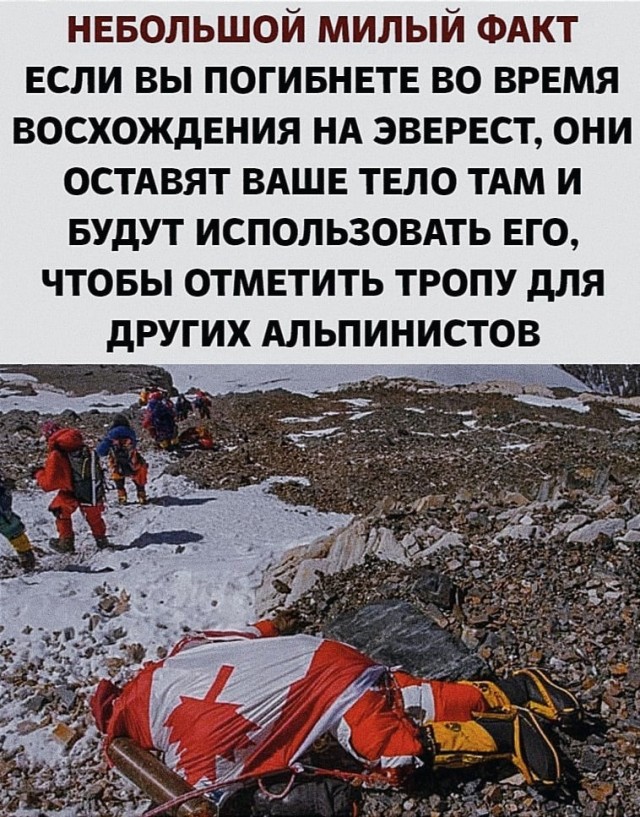 Так себе картинки 14.05.22