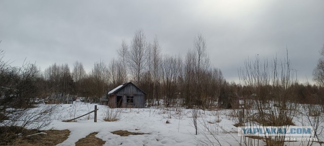 Начал фоткать на "тромбон"