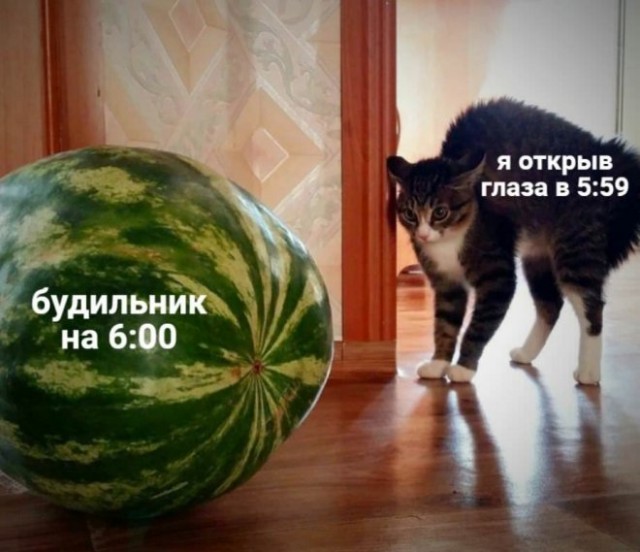 Картинки и мемы для настроения - 19