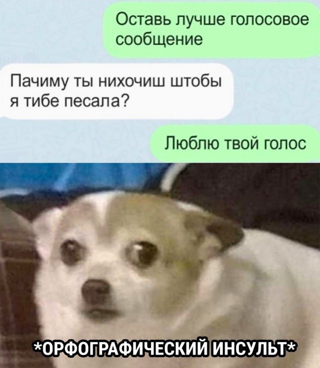 Так себе картинки 08.10.22