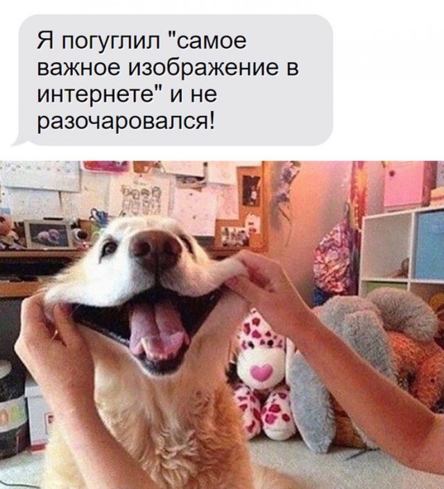Немного картинок для настроения - 112