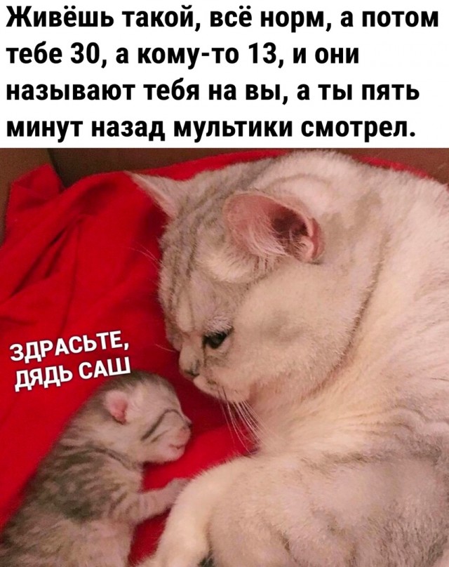Так себе картинки 17.01.23