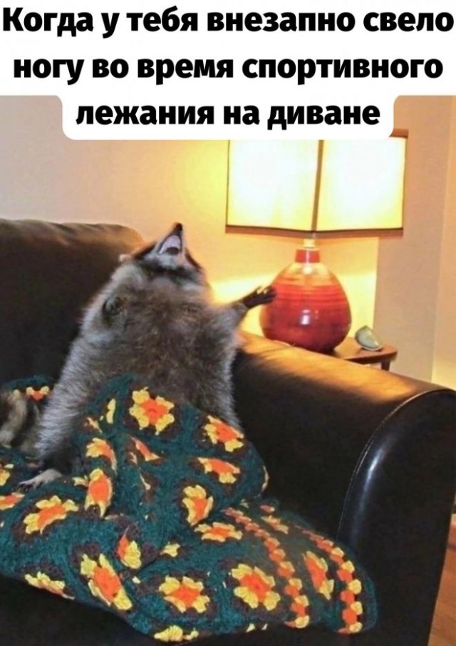 Немного картинок для настроения