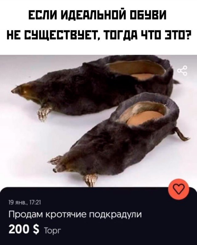 Так себе картинки 25.01.2023