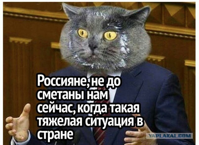 Вице-премьер Виктория Абрамченко призвала россиян не покупать новые джинсы каждый сезон