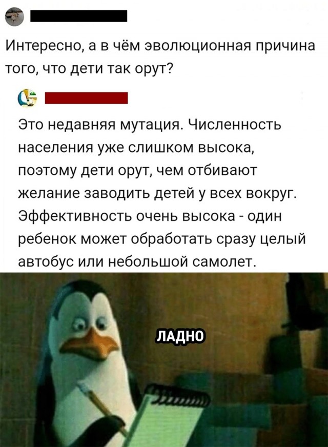 Нуштош 28.07.2023