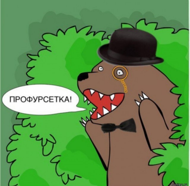 Они прекрасны
