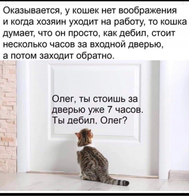 В ожидании возвращения своего человека