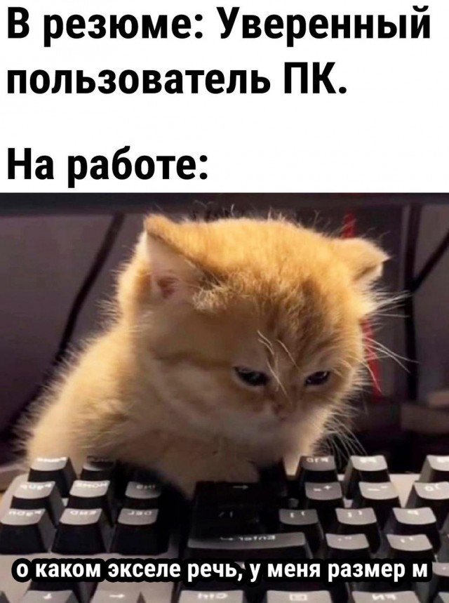 Весёлый полтишок 28.09.23