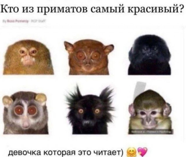 Приколы с налетом деградации