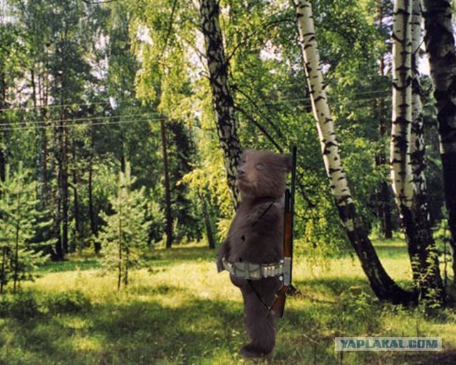 По прозвищу Тихон