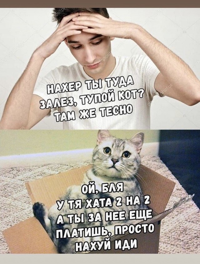 Так себе картинки 25.03.24