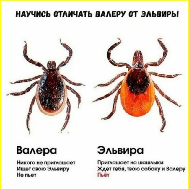 ТЛидцать тЛи от 5 апЛеля