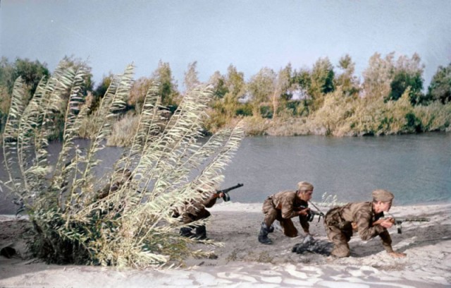 1942 год в 60 фотографиях