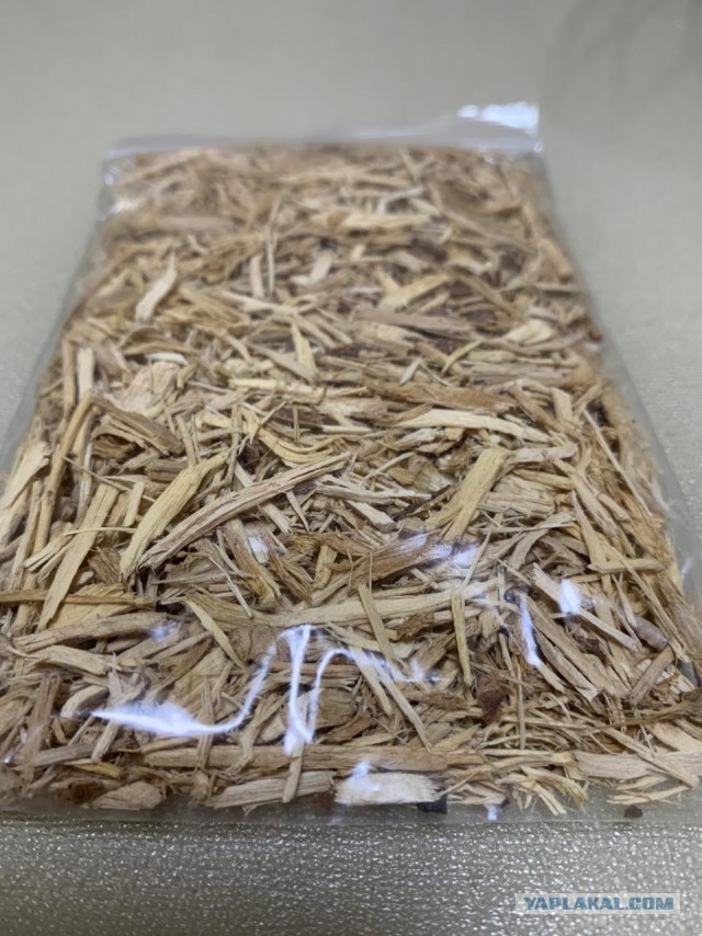 Продам лимонник