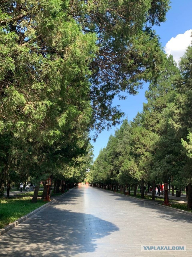 Китай. Пекин-Бэйдайхэ 20024 China.  Beijing-Beidaihe 20024 中国。北京北戴河 20024