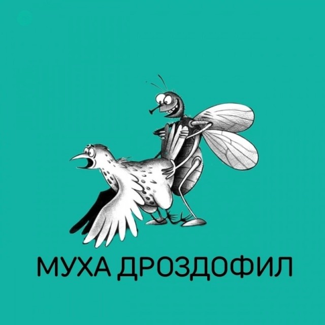 Нуштош 17.10.2024