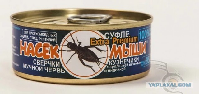 Необычные советские консервы - от китовых стейков до воды в жестянках
