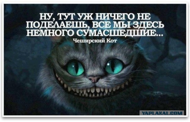 "Мужики - казель!"