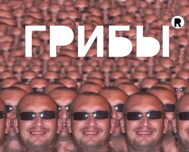 Друзья! Послушайте мою песню! (Пашкетт)