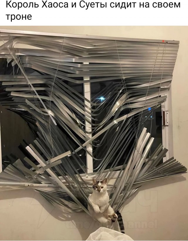 Веселое настроение в картинках (12.07.2025)