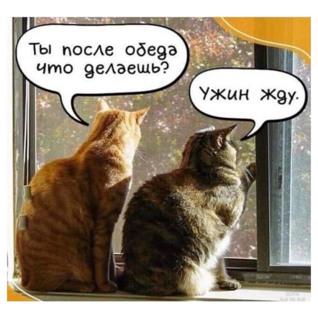 Прикольные и просто красивые картинки 25.11.2025