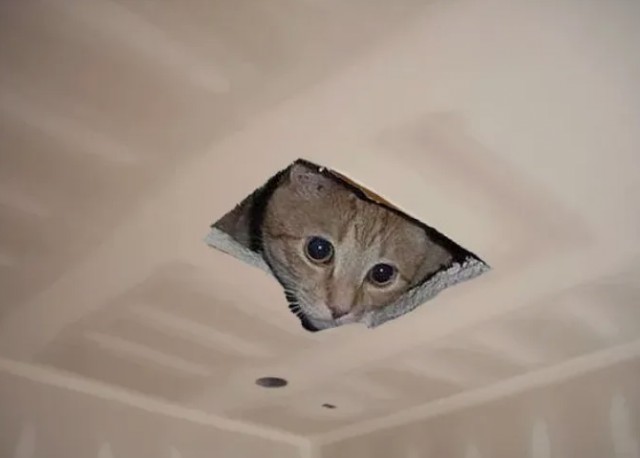 Зима близко