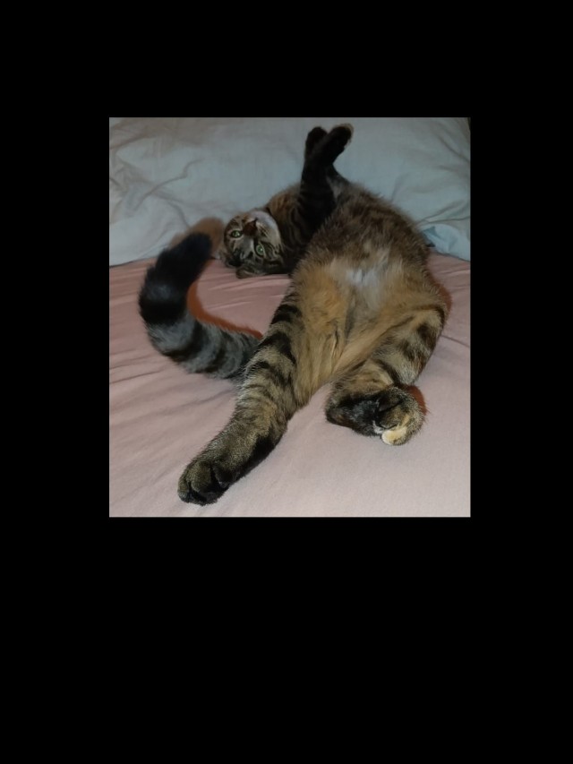 Подарок судьбы