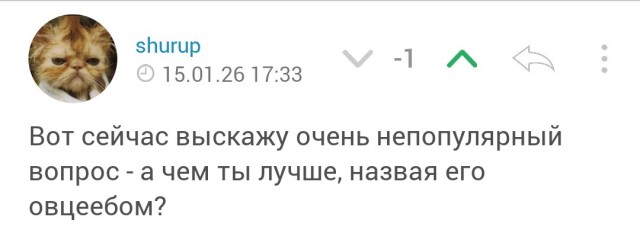 «Он не это имел ввиду»
