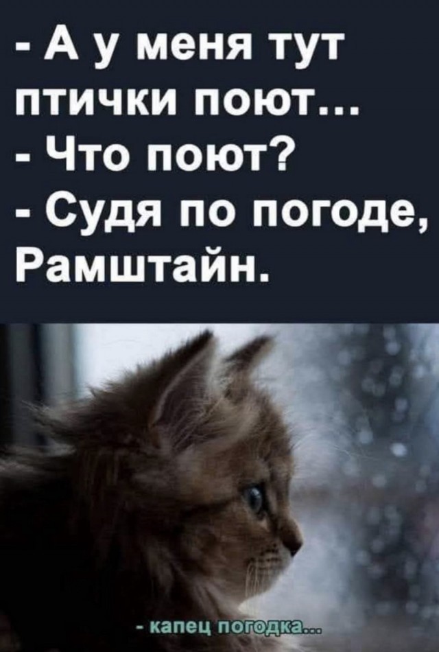 Четверговые картинки