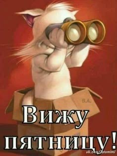 Четверговые картинки