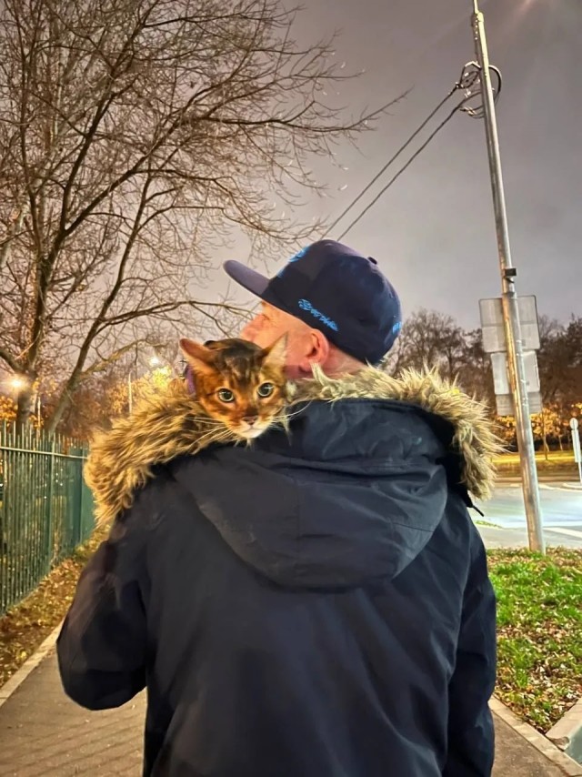 Привет от Соломона