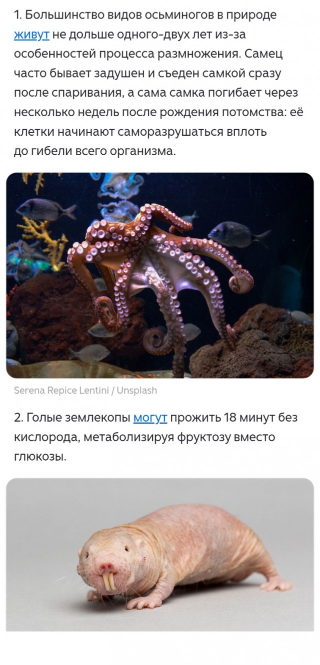 Познавательные картинки 2