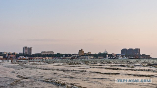 Кубана - 2013