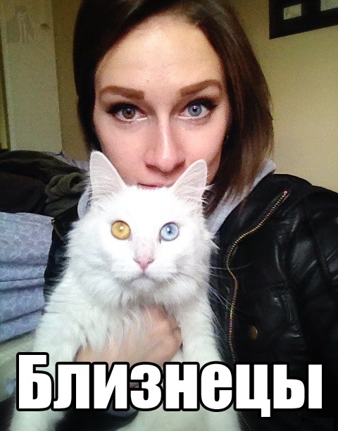 Нашли друг друга!