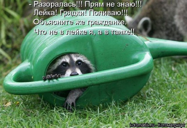 удалить! тест !