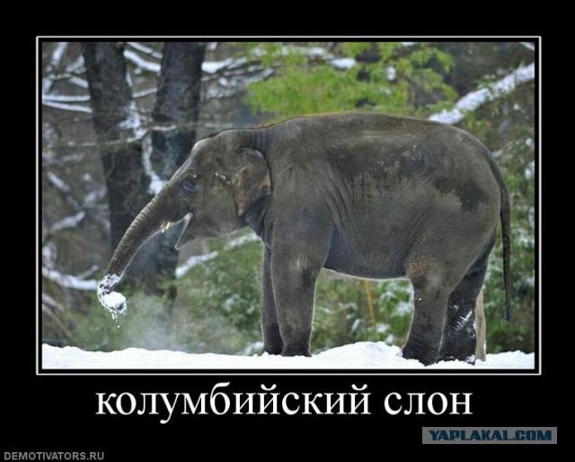 Подборка прикольных фото.