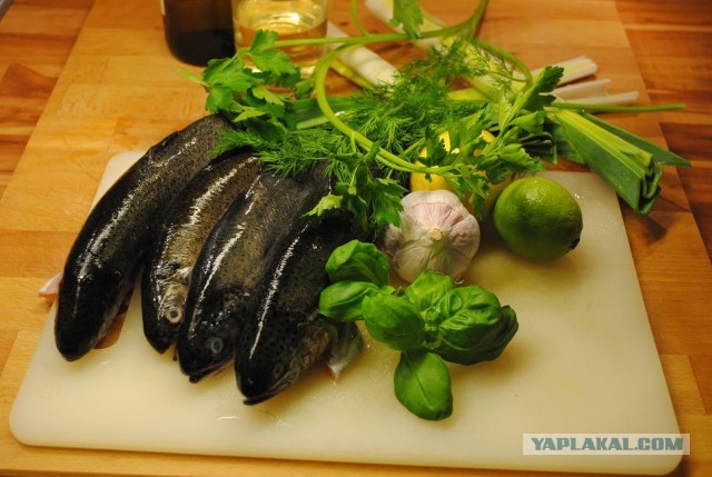 International одной книги., В память о Дженибеке.