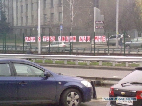 Лена я тебя люблю. Дай мне!