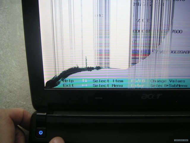 "Дикие" дефекты