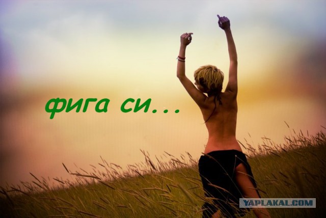 Ответ юзеров сети на появление нового мема Ничоси
