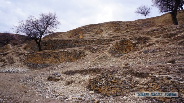 Дикарями в Дагестан, апрель 2015 г.