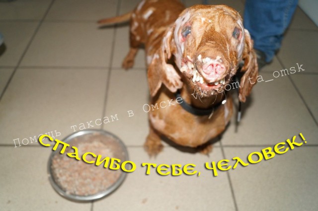 За что ?