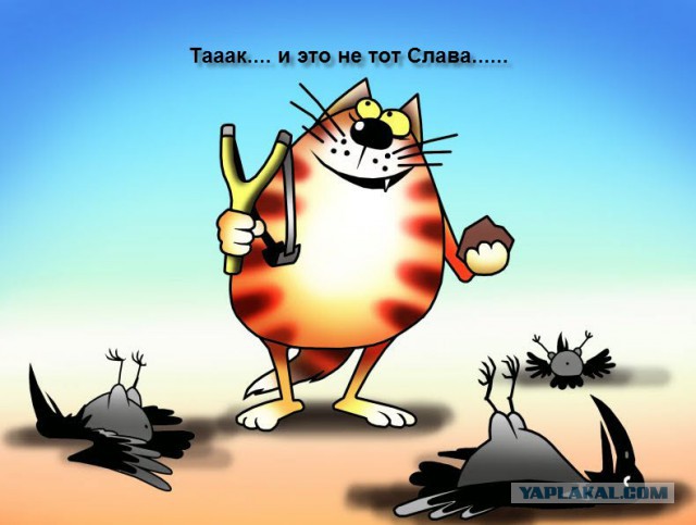 У меня грустные новости для соЯПовца. Слава Новиков тут есть?