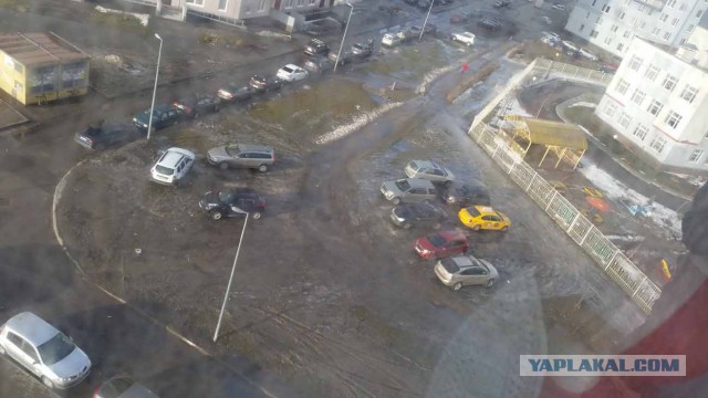 Снайпер расстреливает неправильно припаркованные автомобили в Петербурге