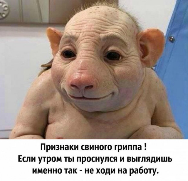 Веселые картинки