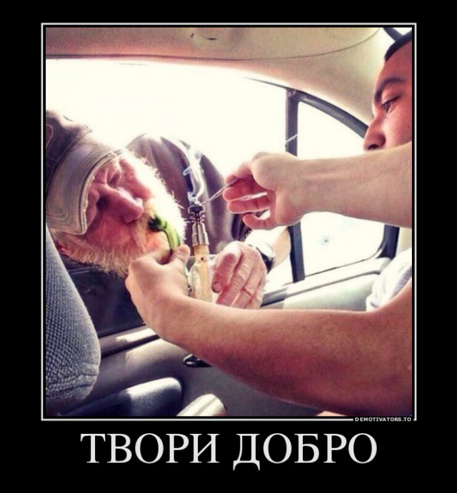 Подборка интересных и веселых фото