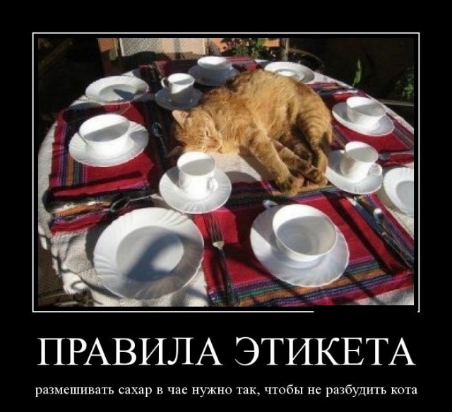 Картинки в черной рамке