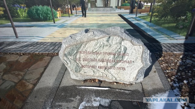 Каникулы во Владивостоке