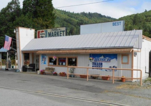 На аукционе продается городок Тиллер в штате Орегон "за недорого"
